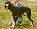 LIVIA