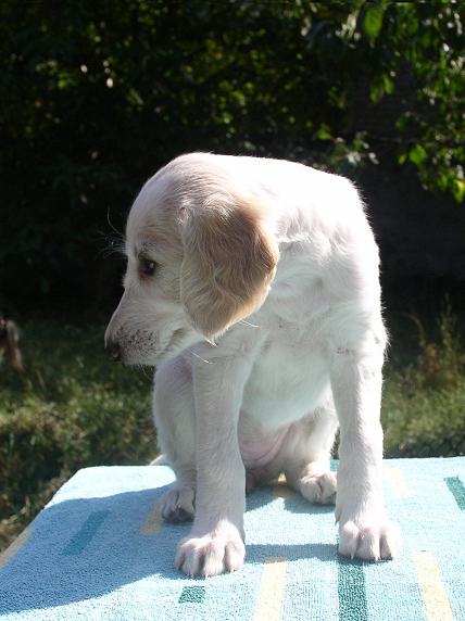 Nast\u0119pne zdj\u0119cie