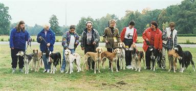 grupa saluk
