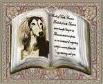 GUESTBOOK 